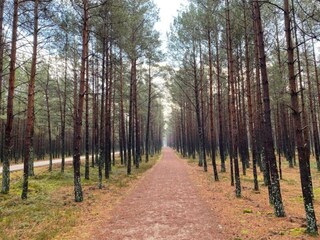 Casa per le vacanze Kopalino Ambiente 22