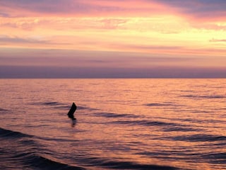 Ferienhaus Kopalino Umgebung 28