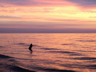 Holiday house Kopalino Environment 38