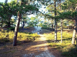 Holiday house Kopalino Environment 22