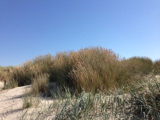 Chalet Renesse  13