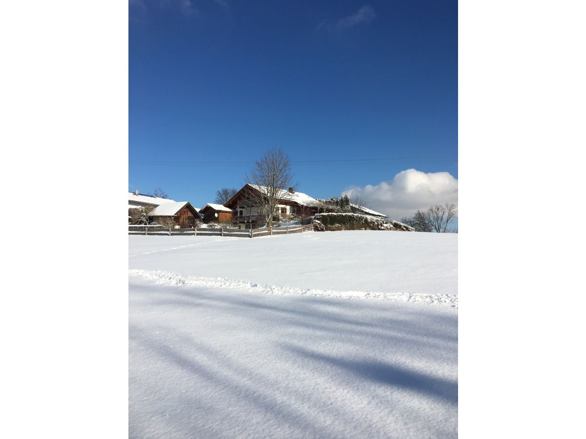 Unser Garten umrandet von Wiesen