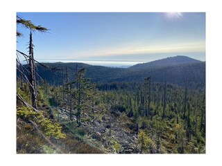 Holiday apartment Mauth Environment 19