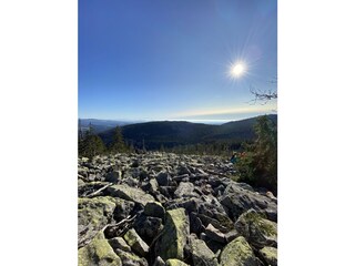 Holiday apartment Mauth Environment 20