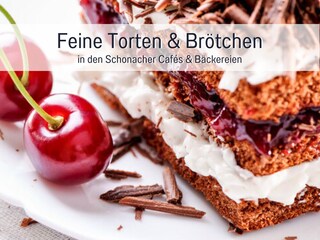 Holiday apartment Schonach Features 20