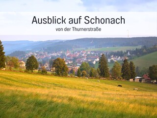 Holiday apartment Schonach Features 22