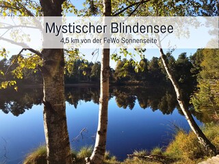 Holiday apartment Schonach Environment 27