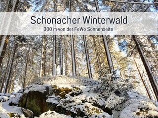 Holiday apartment Schonach Environment 29