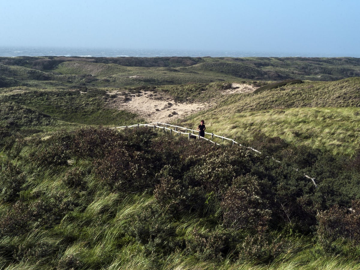 Amsterdamse Waterleidingduinen und das Meer