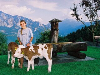 Appartamento per vacanze Unterach am Attersee Registrazione all'aperto 10