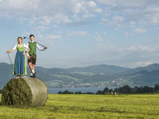 Appartamento per vacanze Unterach am Attersee Ambiente 29