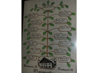 Vakantieappartement Unterach am Attersee Document 37