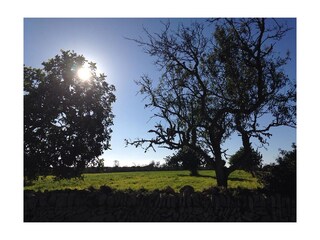 Appartamento per vacanze Cala Santanyí Ambiente 18