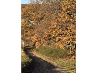 Wanderung im Herbst