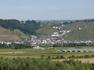 Blick auf Ürzig