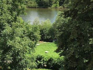 Blick von der Loggia auf die Mosel