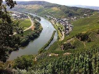 Blick aus den Weinbergen auf Ürzig