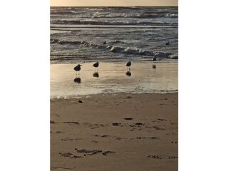 Casa per le vacanze Julianadorp Ambiente 37