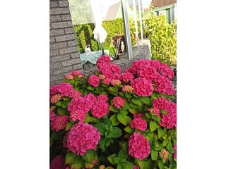 Casa per le vacanze Julianadorp Registrazione all'aperto 5