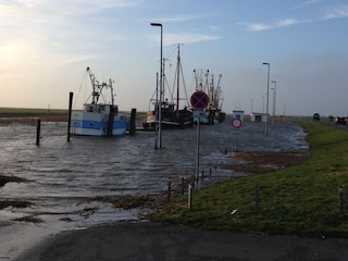 Hafen bei Herbststurm