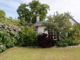 Vakantieappartement Wieck Buitenaudio-opname 4