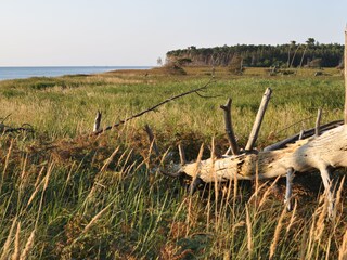 Apartamento de vacaciones Wieck Entorno 21