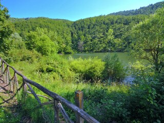 Maison de vacances Lisciano Niccone Environnement 39