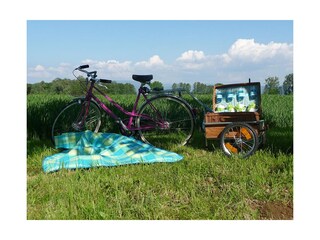 Picknick auf  der Apfelwiese