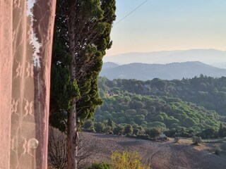 Casa per le vacanze Campiglia Marittima Registrazione all'aperto 8