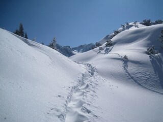 Snow as far as you can see