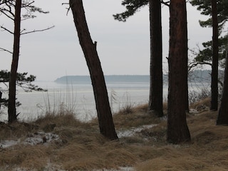 Bodden