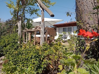 Cottage Alghero Außenaufnahme 10