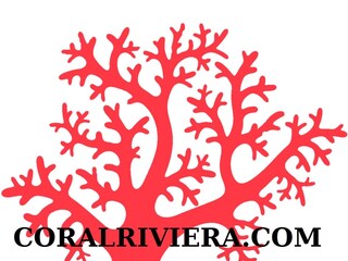 Casa de vacaciones Alghero Documento 42