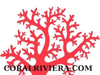 Vakantiehuisje Alghero Document 42