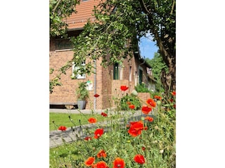 Ferienwohnung Burg im Spreewald Außenaufnahme 7