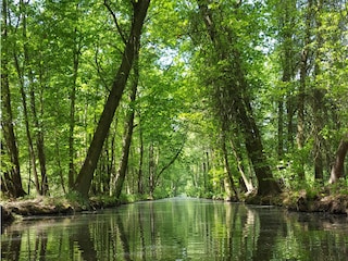 Genießen Sie den Spreewald bei einer Paddelboottour.