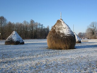 Spreewälder Heuschober im Winter