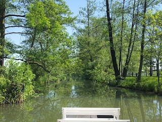 Eine Kahnfahrt durch den Spreewald