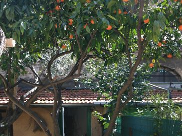 Ferienhaus Antibes Altstadt