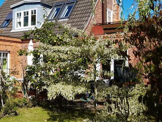 Ferienwohnung Wyk auf Föhr Außenaufnahme 5