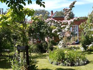 Ferienwohnung mit Südterrasse in Strandnähe für eine Person