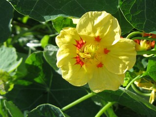 Appartamento per vacanze Fügen Ambiente 19