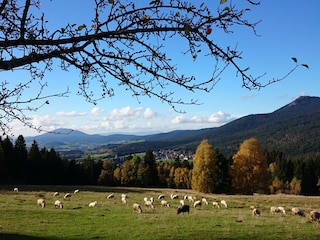 Ferienwohnung Lohberg  16