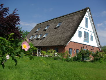 Ferienhaus Sonnenschein - Umland Hamburg -perfekt für Gruppen