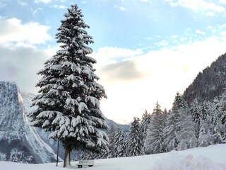 Winteridylle