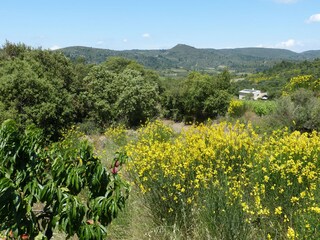 Bed & Breakfast Durban-Corbières Buitenaudio-opname 13