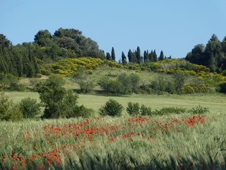 Typische Corbières-Landschaft