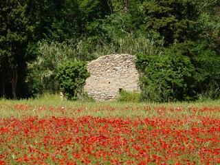 Bed & Breakfast Durban-Corbières Omgeving 24