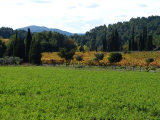 Direkte Umgebung im Herbst