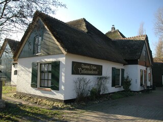 Vakantieappartement De Koog Omgeving 20